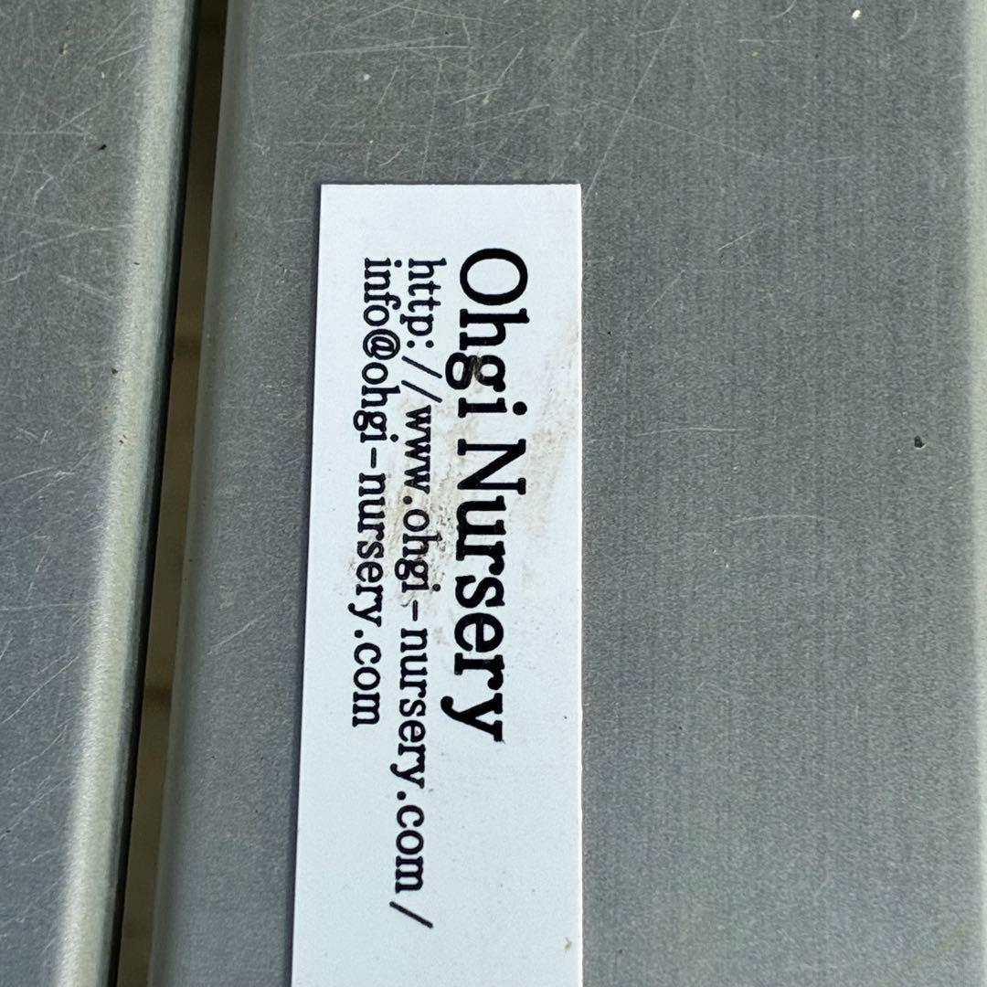 3856☘️ラスト2☘️タグ付☘️⭐️SD⭐️ポーセリン⭐️小輪⭐️コンパクト⭐️大木ナーセリー