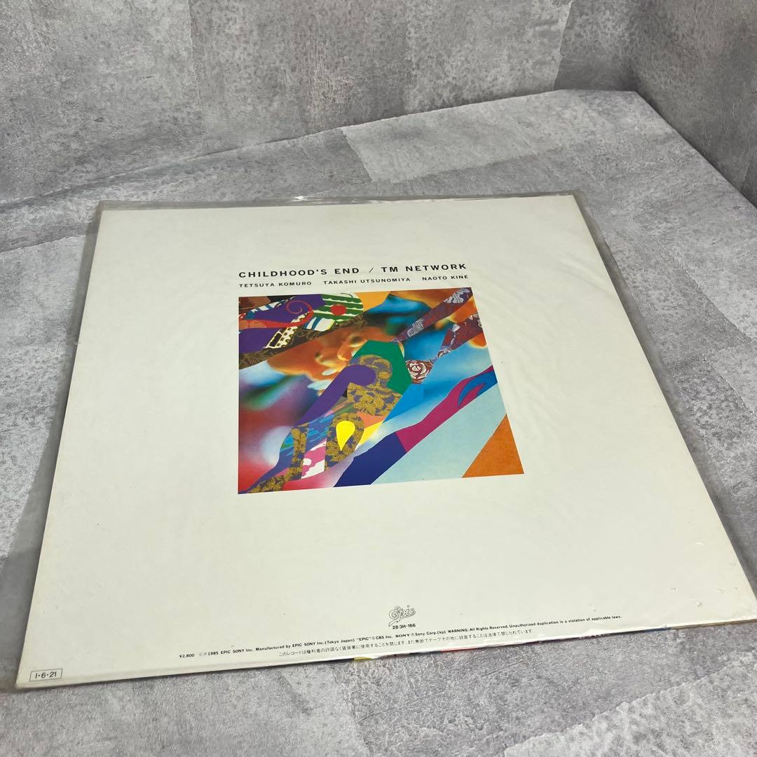 TM NETWORK レコード　LP まとめ売り　5枚