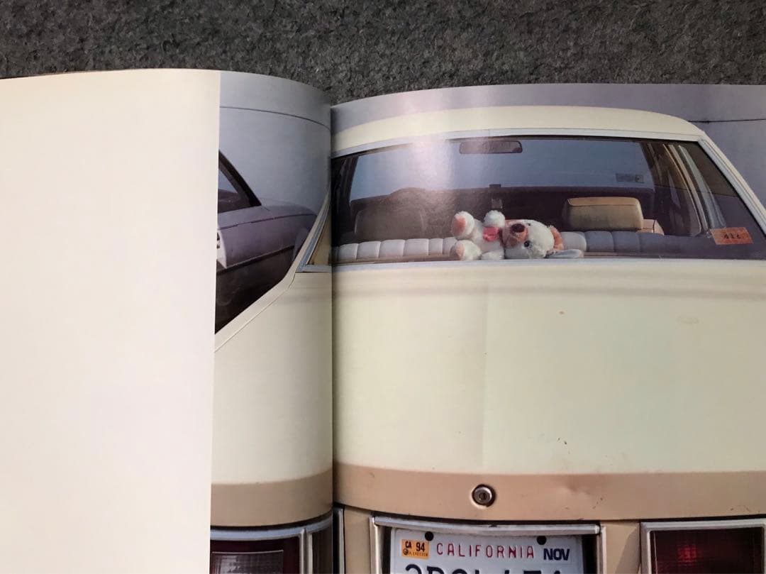 Babyland / ホンマタカシ TAKASHI HOMMA