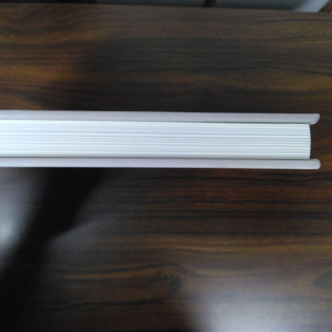 Marisol Sculptures and Works on Paper　図録