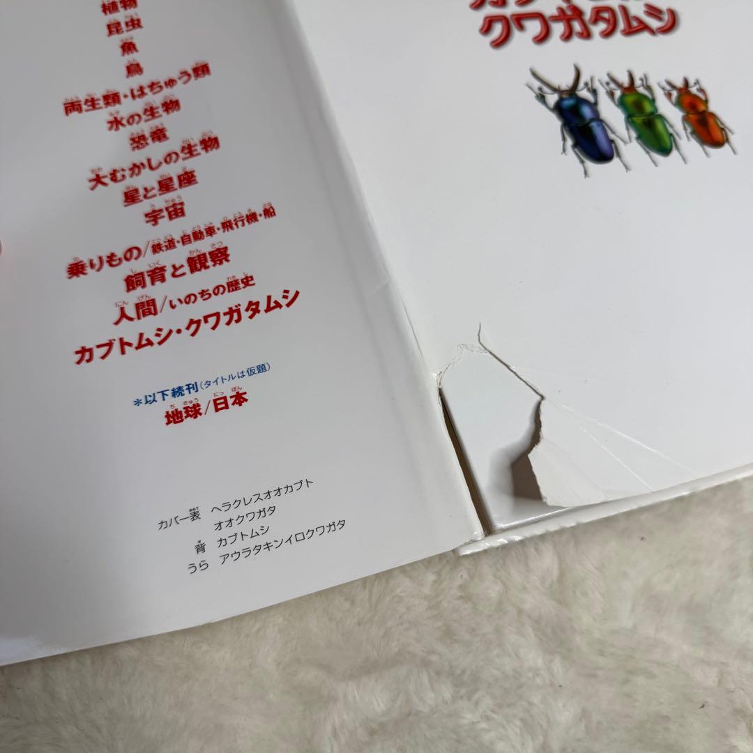【良品】小学館の図鑑NEO 20冊セット　（DVD・付録多数）