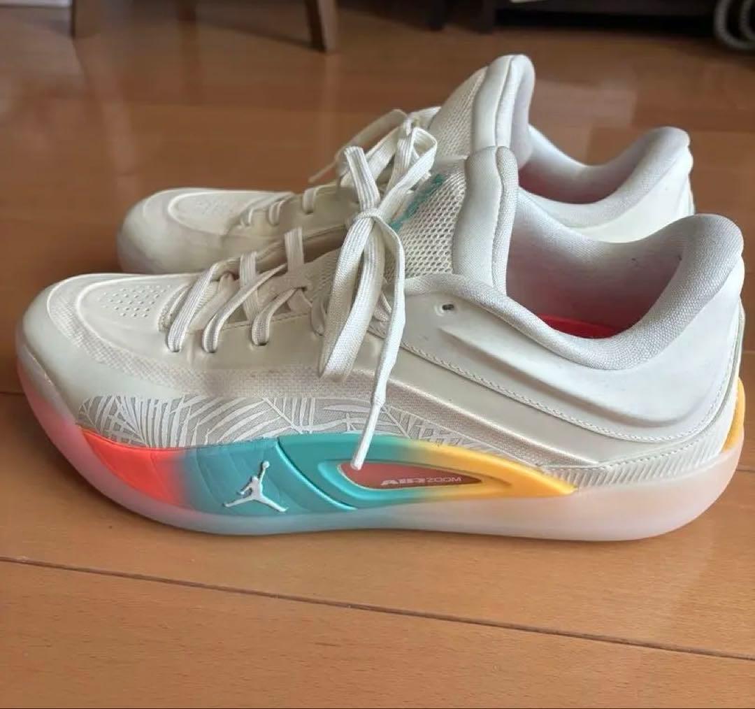 エア ジョーダン ザイオン 4 ロー カントリー29.0cm※箱無し