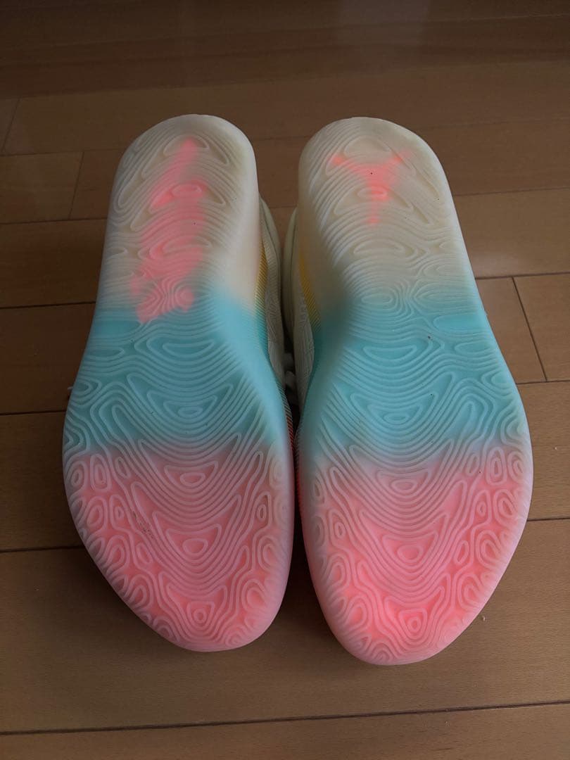 エア ジョーダン ザイオン 4 ロー カントリー29.0cm※箱無し