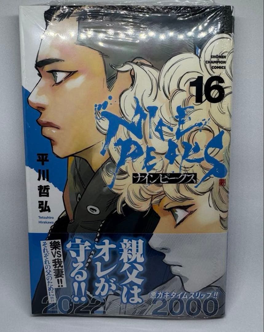 初版 ナインピークス NINE PEAKS 1巻〜17巻 平川哲弘 未開封 全巻