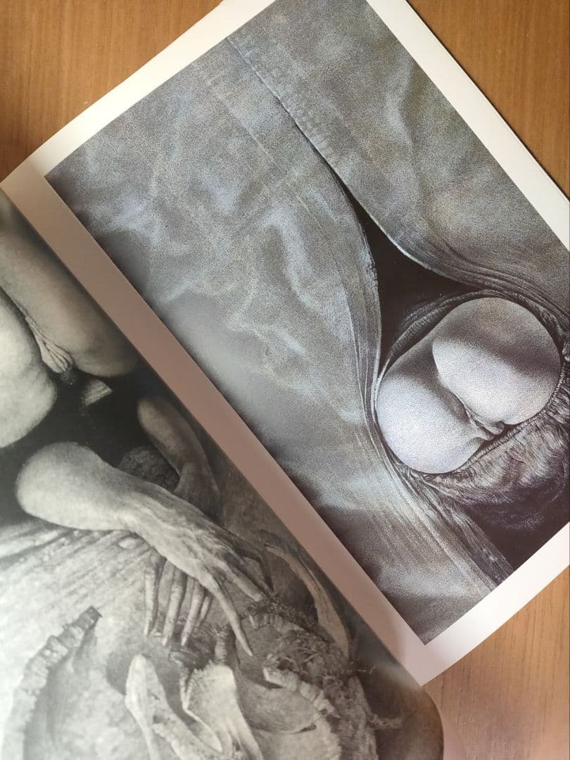 Desseins　 Gerard Gachet　ジェラール・ガシェ素描集