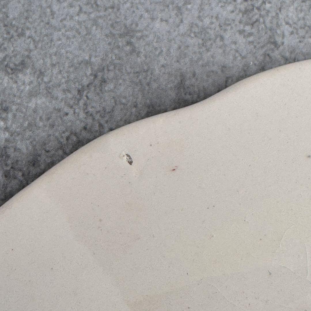 ④ 美品フランスアンティーク　サルグミンヌ　Fontanges ディナープレート