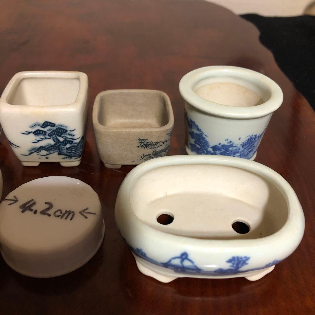 小品盆栽　山野草　サボテン植物　鉢6個組み　陶悦、丸藤他