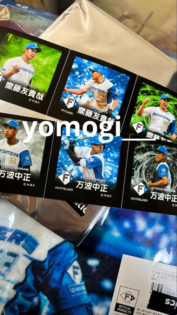 北海道日本ハムファイターズ　グッズセット