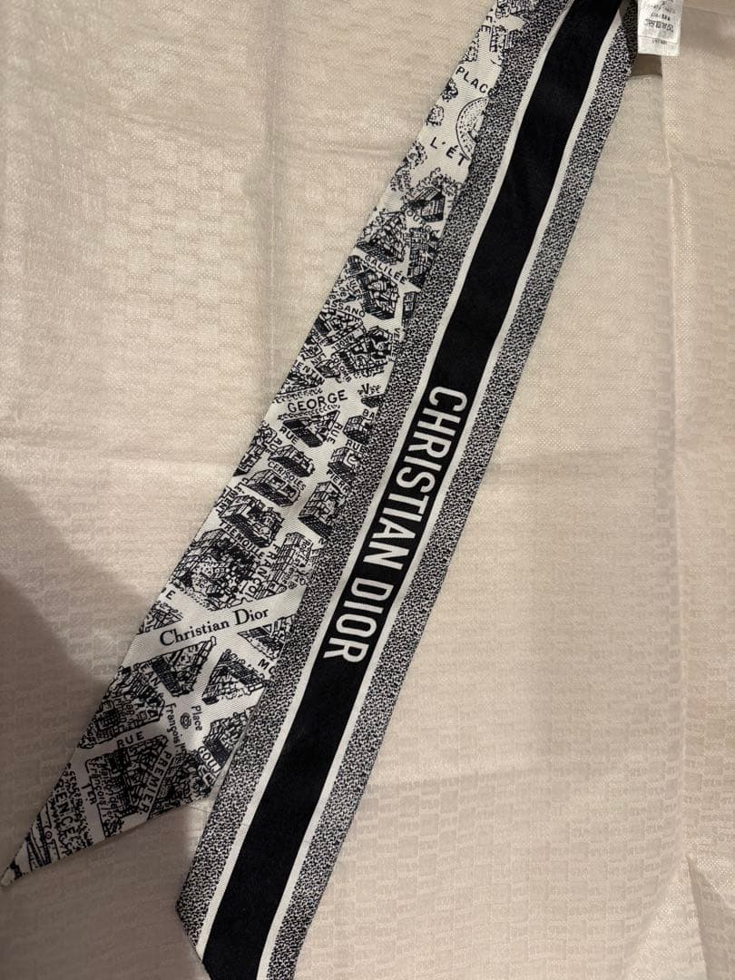 Christian Dior ミッツァ Plan de Paris