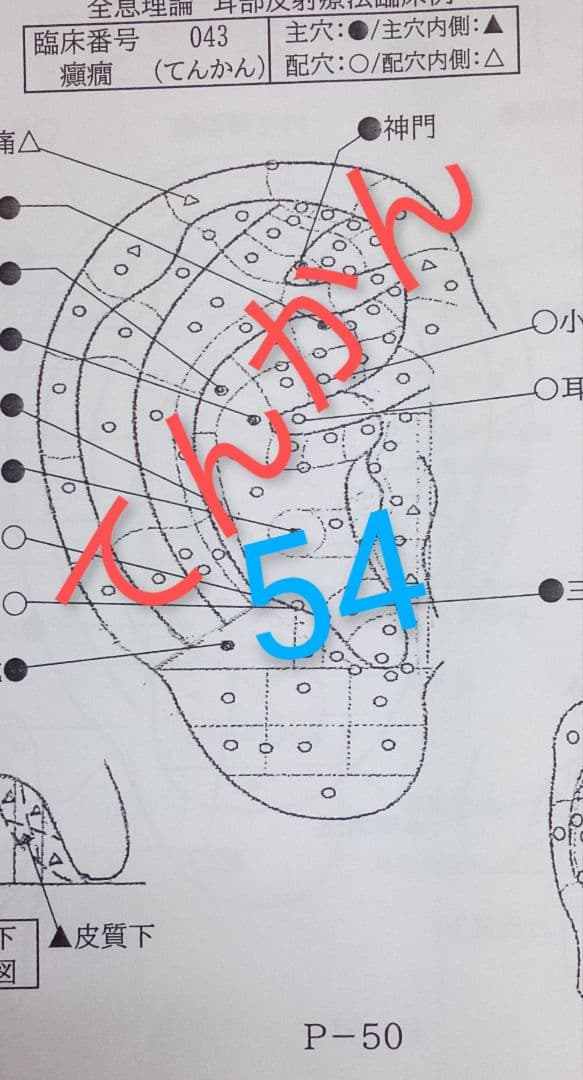 Bc:耳つぼ：耳臨床54例集+臓器/躯体ラミネート+解説冊子/プリント13set