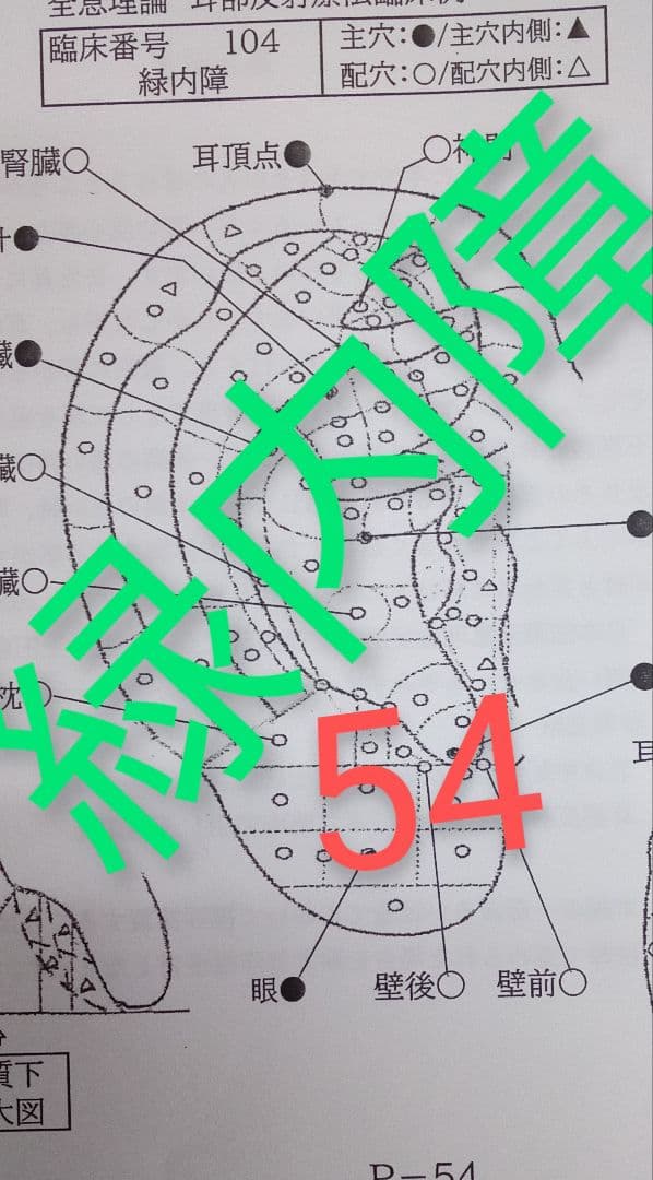 Bc:耳つぼ：耳臨床54例集+臓器/躯体ラミネート+解説冊子/プリント13set
