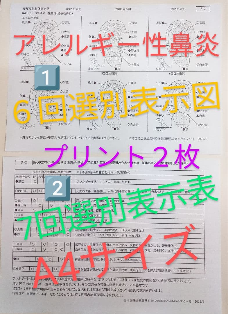 Bc:耳つぼ：耳臨床54例集+臓器/躯体ラミネート+解説冊子/プリント13set