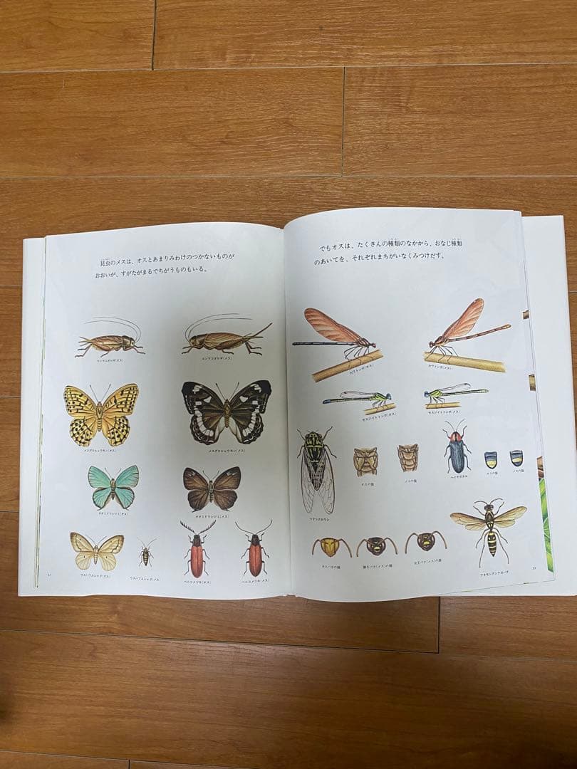 自然に関する絵本セット　12冊セット　福音館書店　全シリーズ