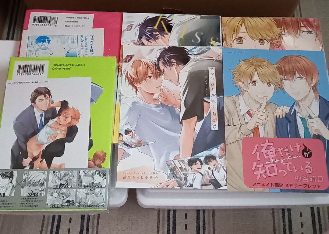 【値下げ】　BLコミック　まとめ売り　67冊　　　園瀬もち　やまち　楔ケリ