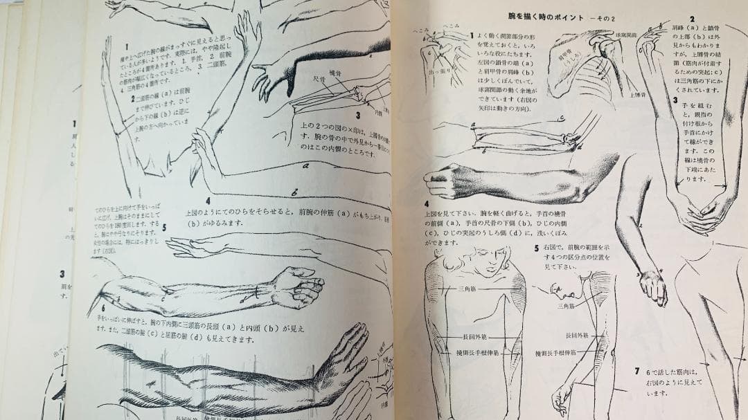 超レア1978年で47年前◆『人体のデッサン技法』