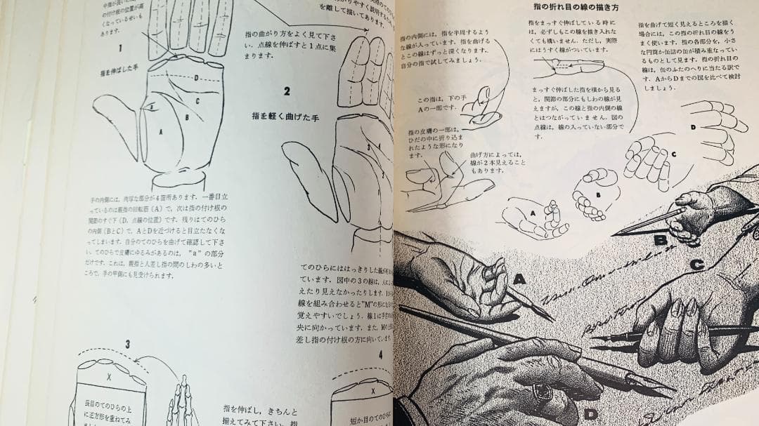 超レア1978年で47年前◆『人体のデッサン技法』