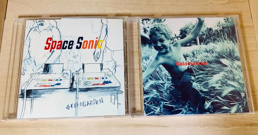 ELLEGARDEN エルレガーデン CD 全15枚 まとめ売り セット