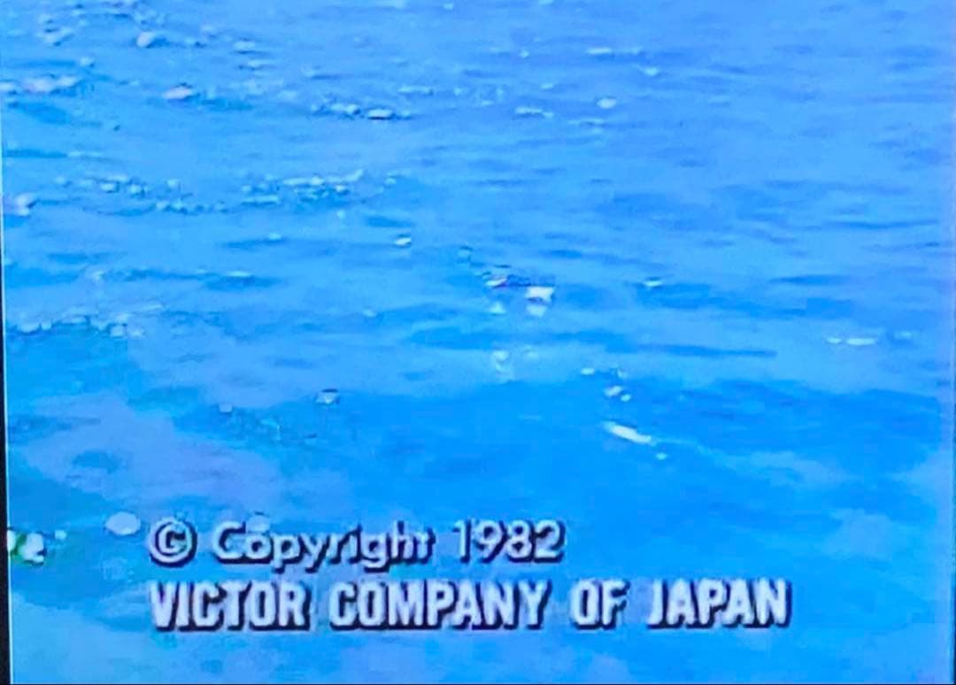 サザンオールスターズ 【武道館コンサート】DVD付き／ 桑田佳祐・原由子・すいか