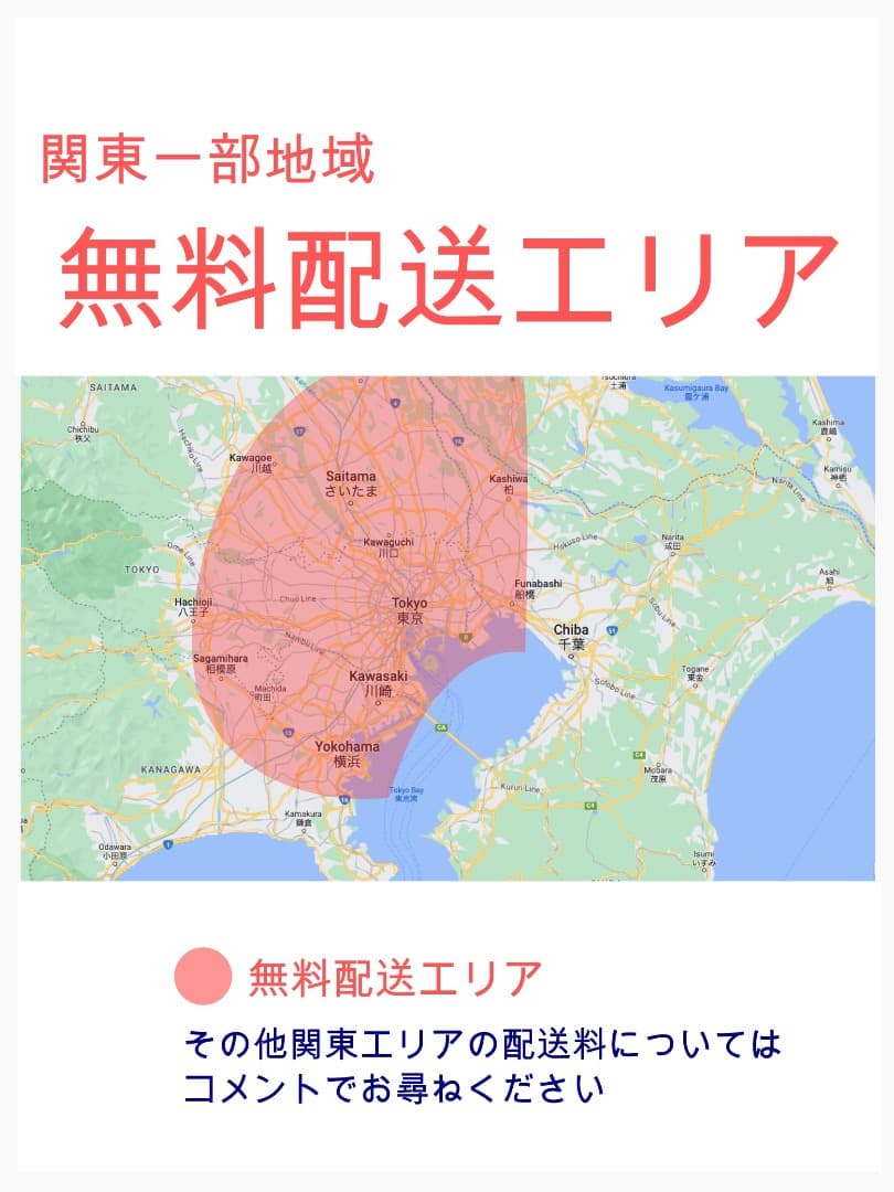 【限定価格】BIKKE ビッケ13AH⭐️ブリヂストン子供乗せ電動自転Y3417