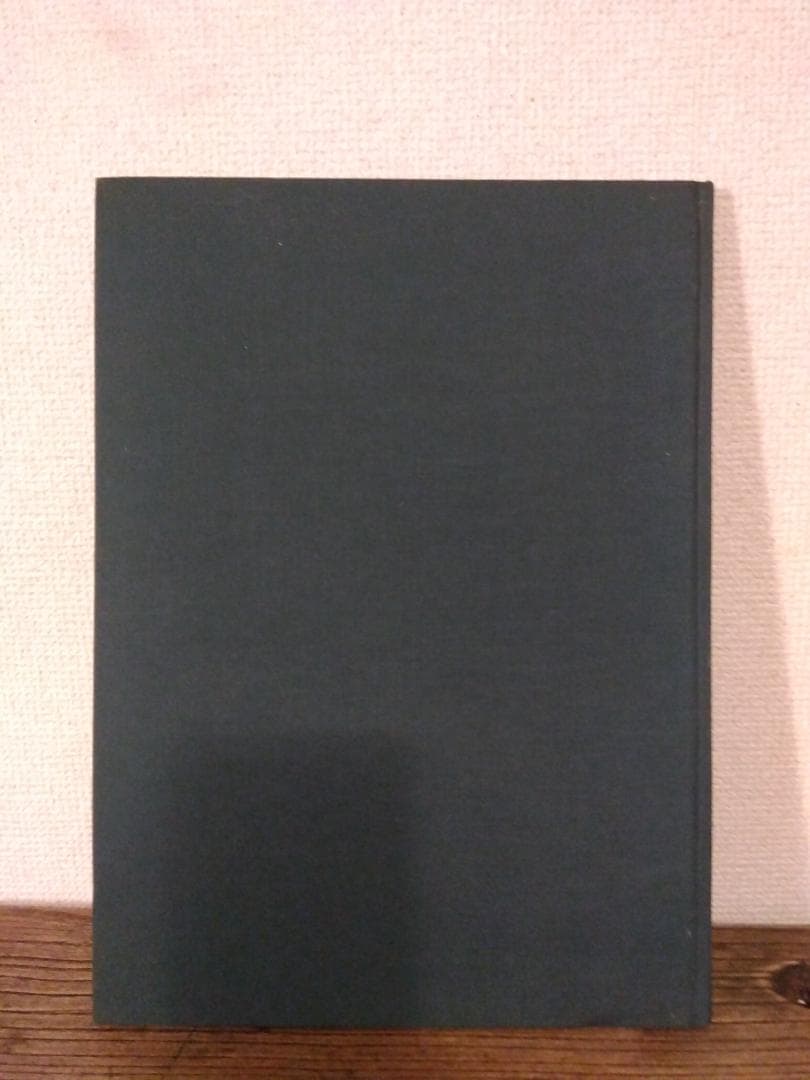 2000部限定写真集Terri Weifenbach Hunter Green