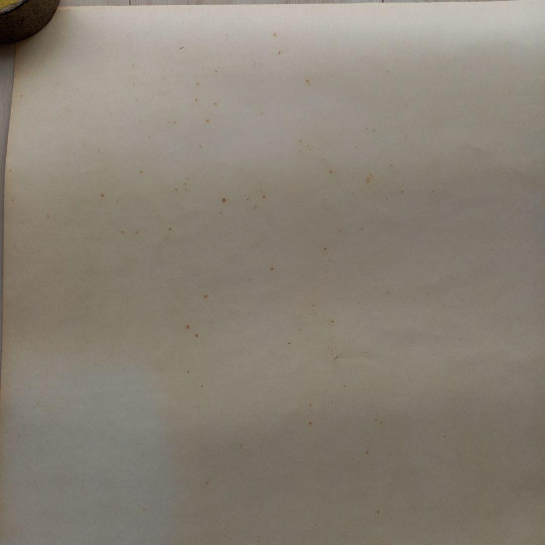 横尾忠則 Tadanori Yokoo ISSEY MIYAKE ポスター B1