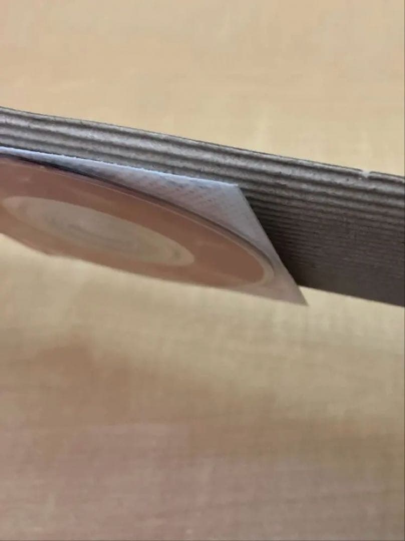 松田聖子　神田沙也加　熟カレーの唄 DVD 完全未開封新品　超レア非売品