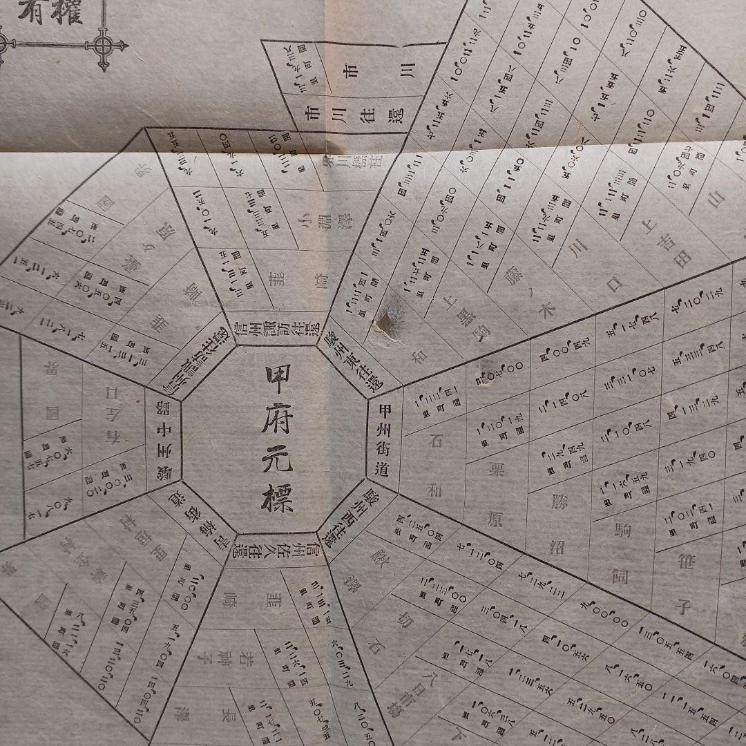 明治時代の教科書と押し葉　『甲斐地誌』　 明治26年　山梨県の地理　希少入手困難