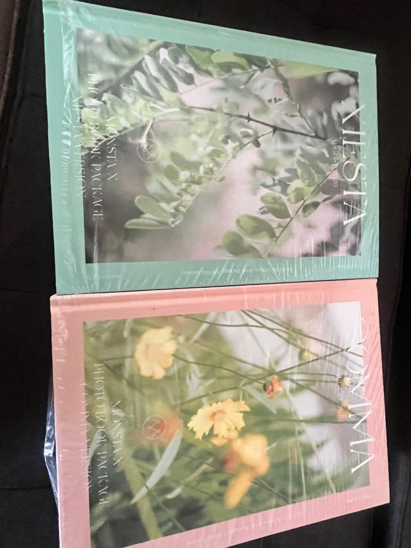 MONSTA X 2020 PHOTO COMMA + XIESTA 2冊
