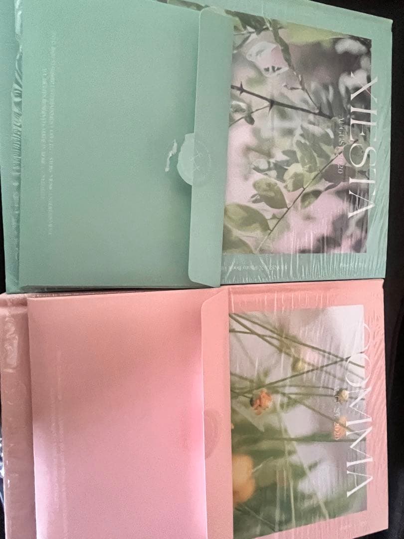 MONSTA X 2020 PHOTO COMMA + XIESTA 2冊