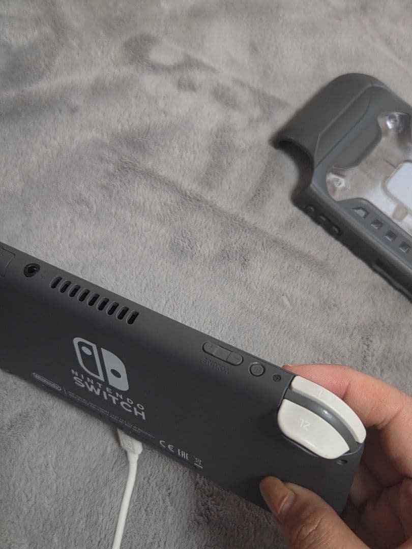 Nintendo Switch Lite 本体 クリアケース付 本日までの値段