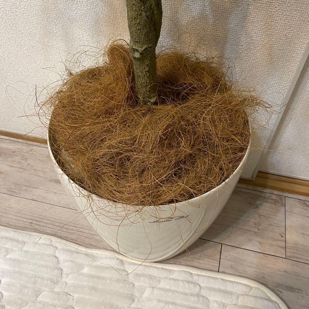 4/5以降発送） 140cm程度　10号鉢　フィカスベンジャミン　人工観葉植物