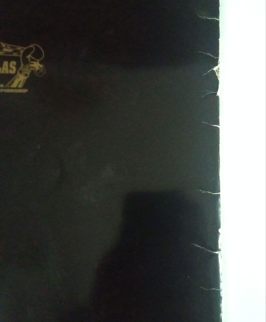 マイク・タイソン　パンフレットとチラシ　TYSON vs DOUGLAS