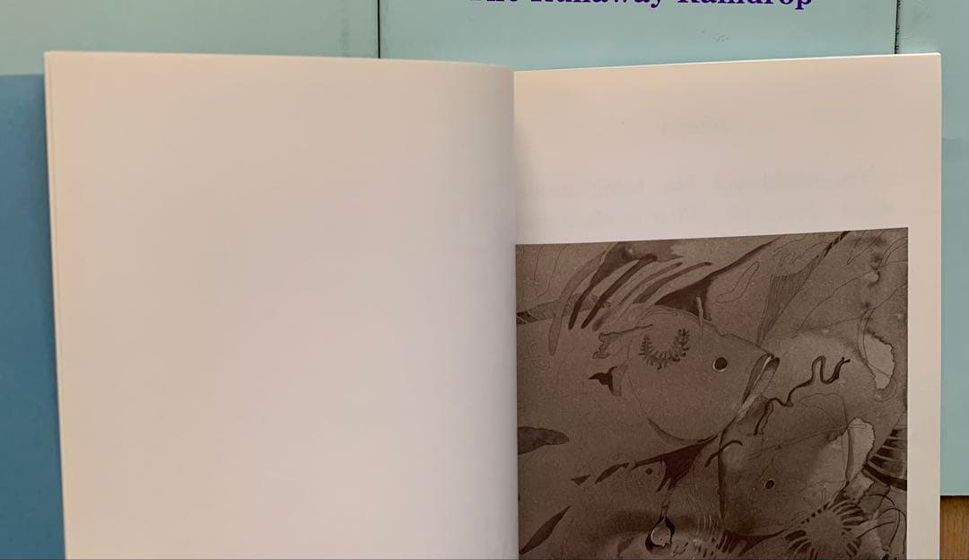 イングリッシュアドベンチャー　「家出のドリッピー」 英語教材1〜12