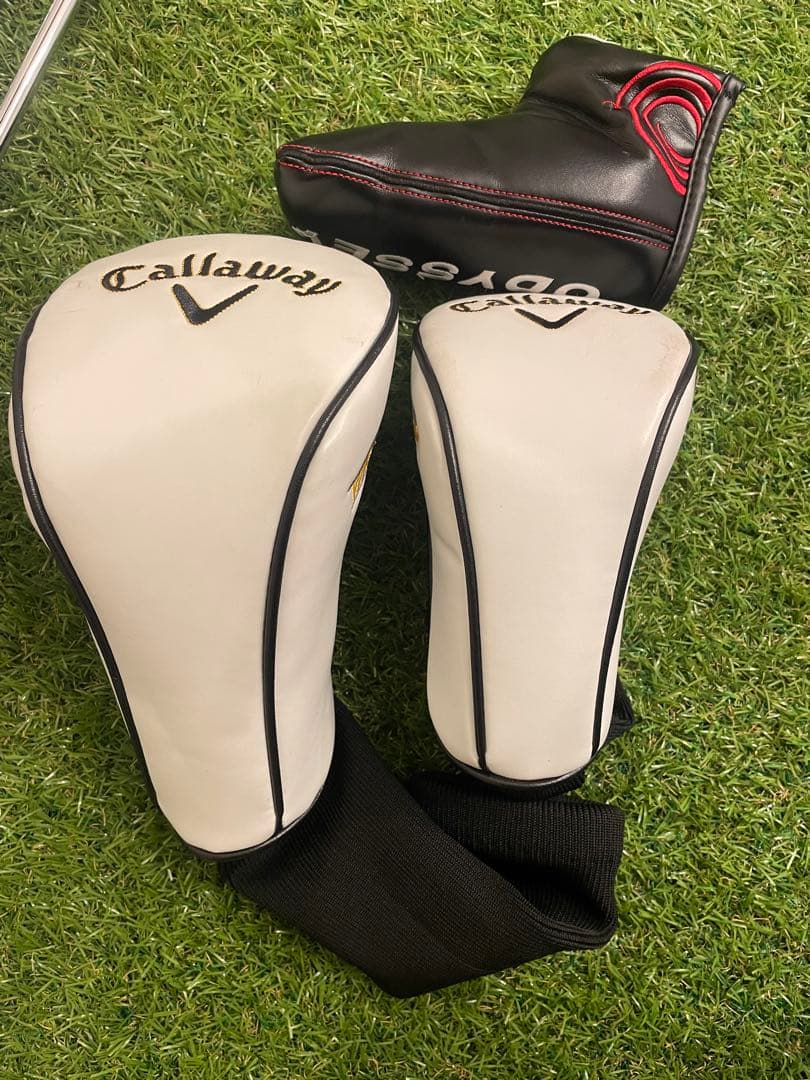 キャロウェイ/WARBIRD 初心者 現行 メンズゴルフセット　10本　R