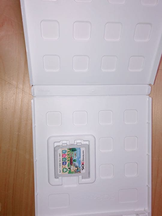 とびだせ どうぶつの森