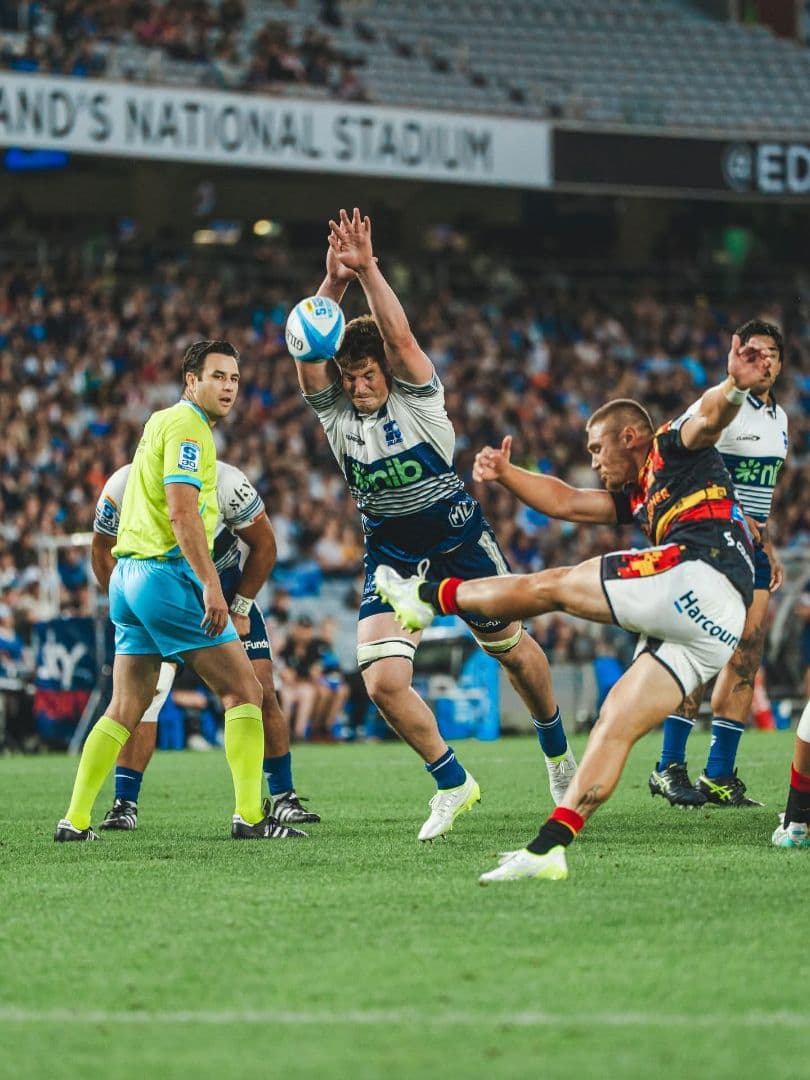 NZ ブルーズ 2026最新モデル 1stユニフォーム 新品 L　ラグビー