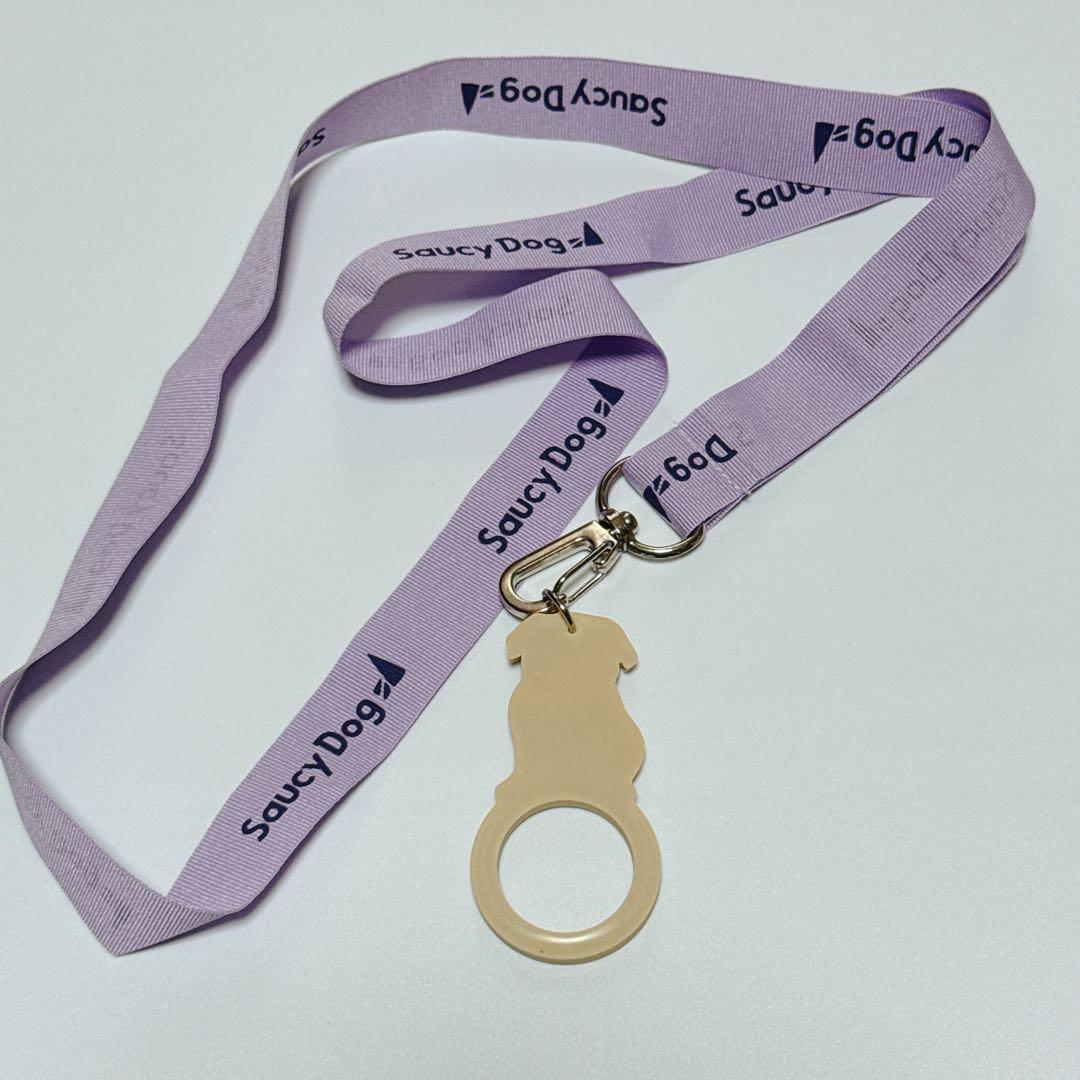 Saucy Dog CD ポストカード グッズ セット